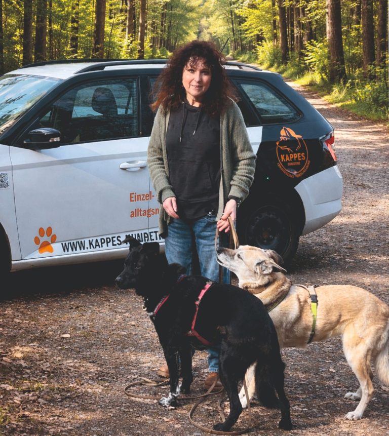 Hundetrainerin mit ihren Hunden Frau mit zwei Hunden auf einem sonnigen Waldweg im Herbst.